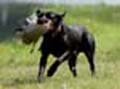 Payton training